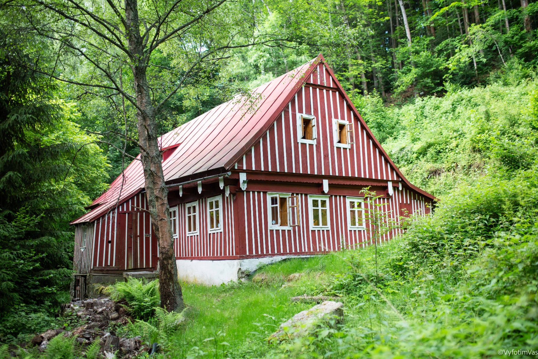 Chalupa u lesa s vlastním pozemkem